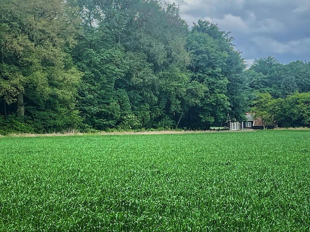 Natuurhuisje - Gastenverblijf De Kleine Hazerij Wijhe Exterior foto